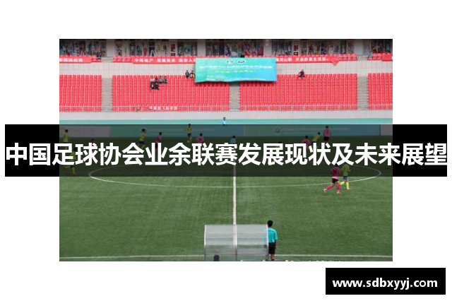 中国足球协会业余联赛发展现状及未来展望